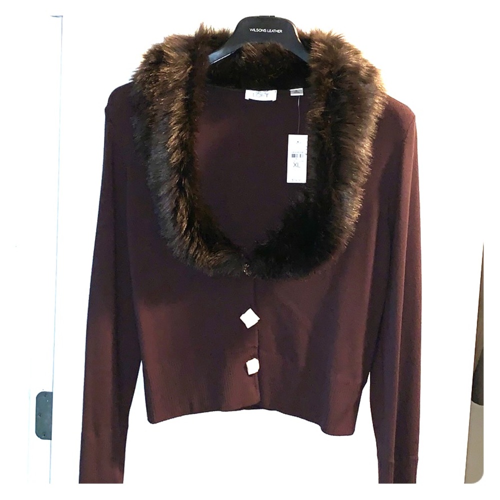 Brown XL Ann Taylor cardigan